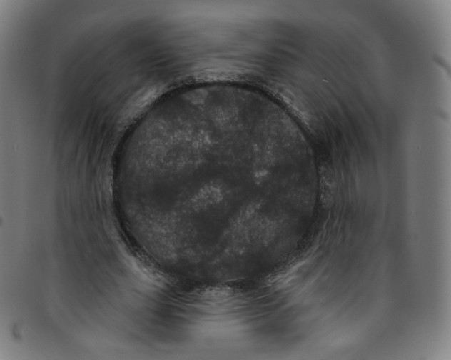 X0000095130631200801041247