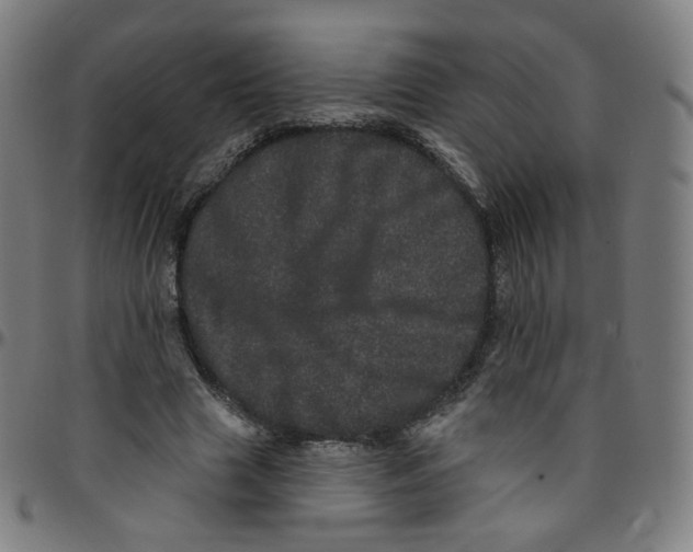 X0000095130633200801041247