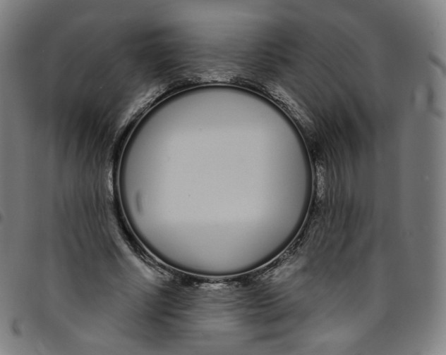 X0000095130634200801041248