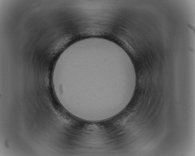 X0000095130635200801041248