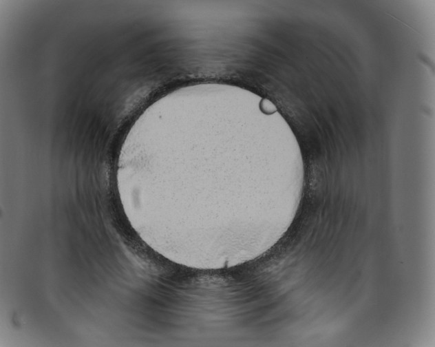 X0000095130636200801041248