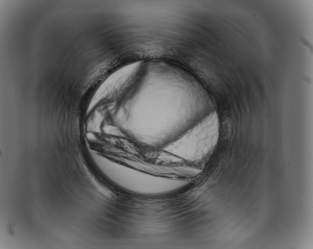 X0000095130638200801041248