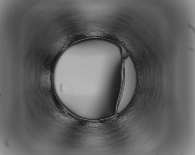 X0000095130642200801041248