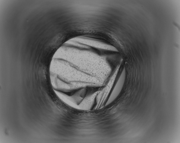 X0000095130643200801041248