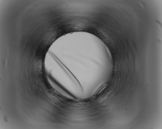 X0000095130646200801041248