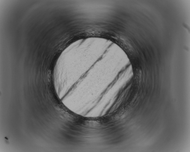 X0000095130649200801041248