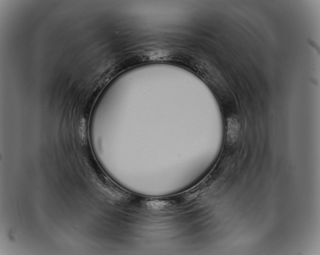 X0000095130650200801041248