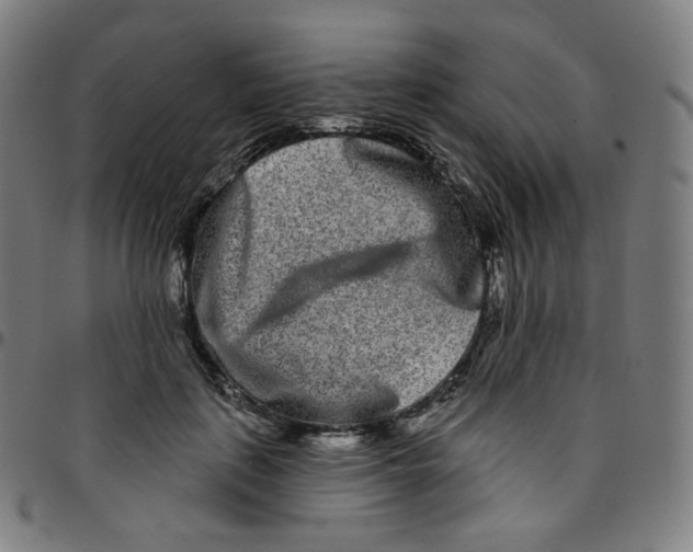 X0000095130651200801041248