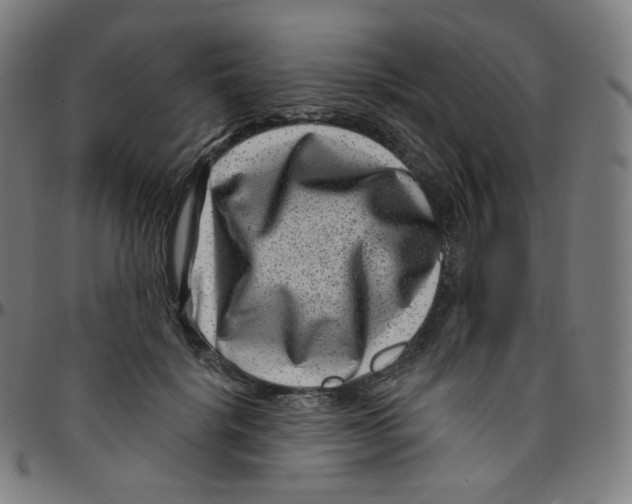 X0000095130652200801041248