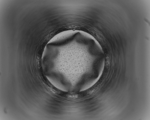 X0000095130653200801041248