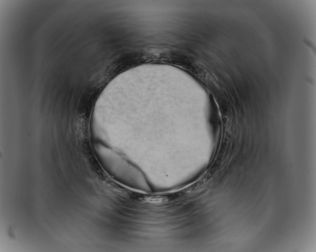 X0000095130659200801041248