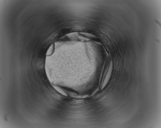 X0000095130665200801041248