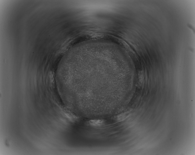 X0000095130667200801041248