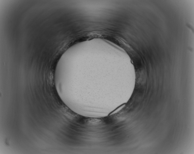 X0000095130669200801041248