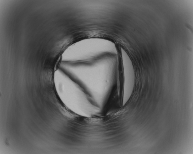 X0000095130670200801041248