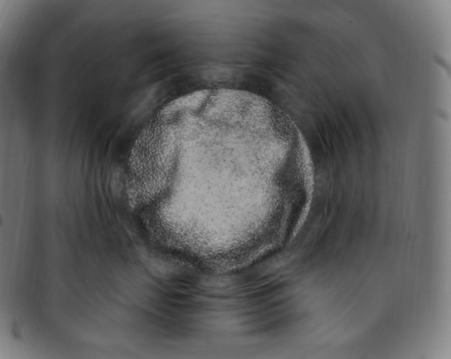 X0000095130671200801041248