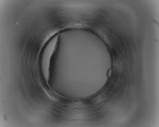 X0000095130674200801041247