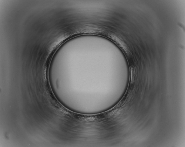 X0000095130675200801041247