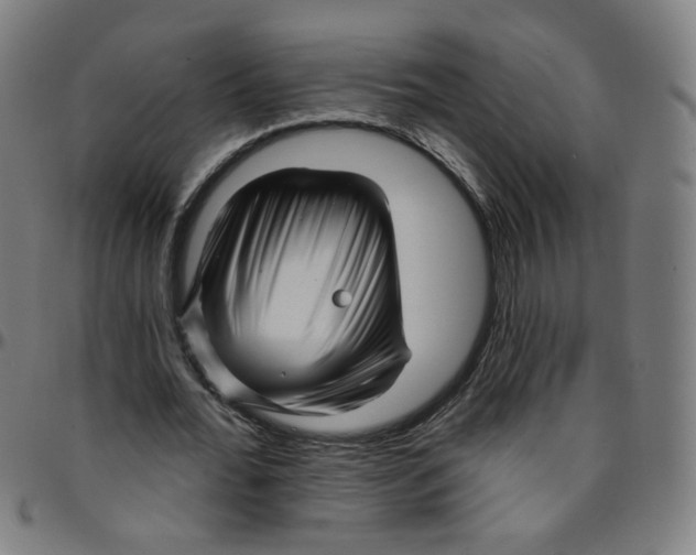 X0000095130676200801041247