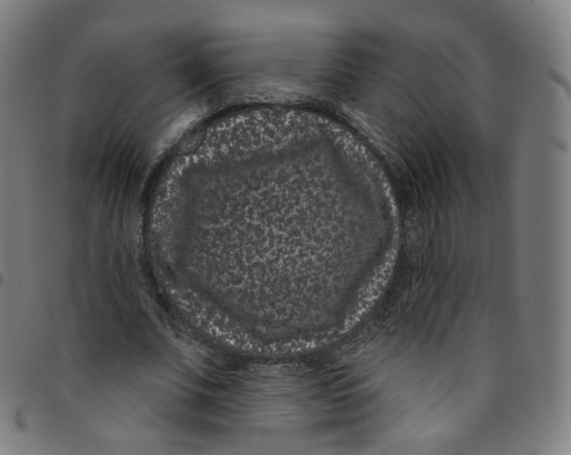 X0000095130679200801041247