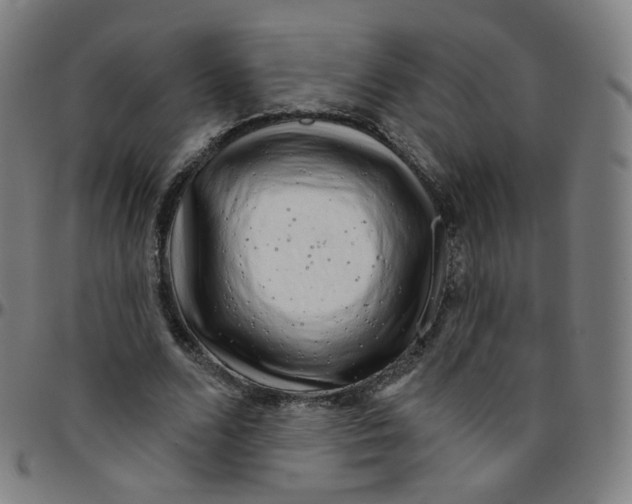 X0000095130680200801041247