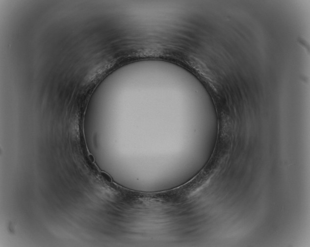 X0000095130681200801041247