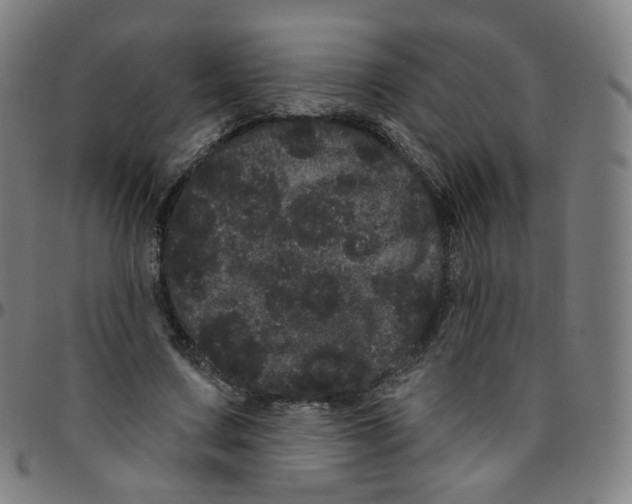 X0000095130683200801041247