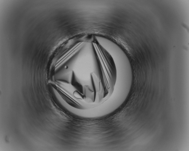 X0000095130684200801041247