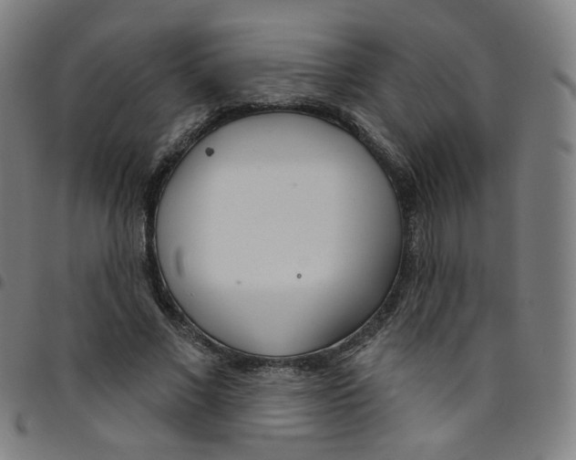 X0000095130685200801041247