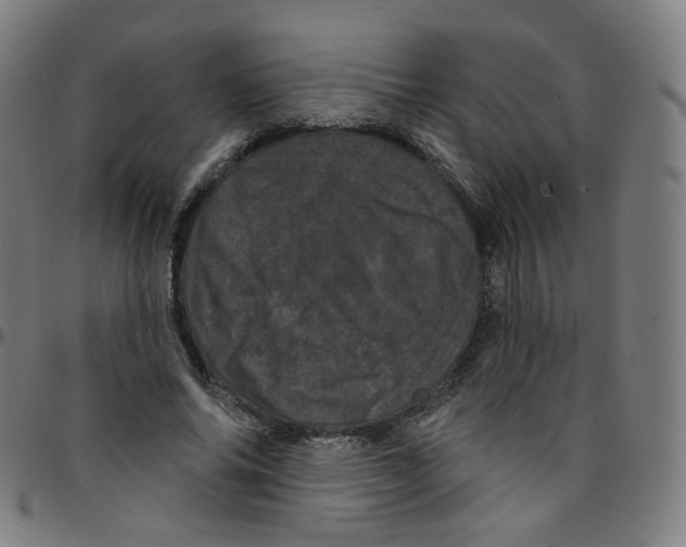 X0000095130686200801041247