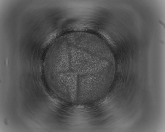 X0000095130687200801041247