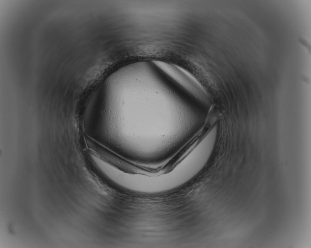 X0000095130688200801041247