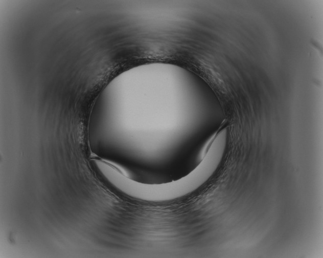 X0000095130689200801041247