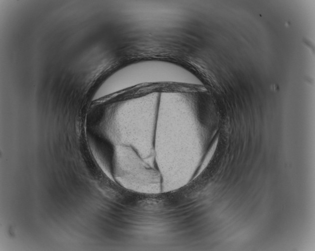 X0000095130691200801041247