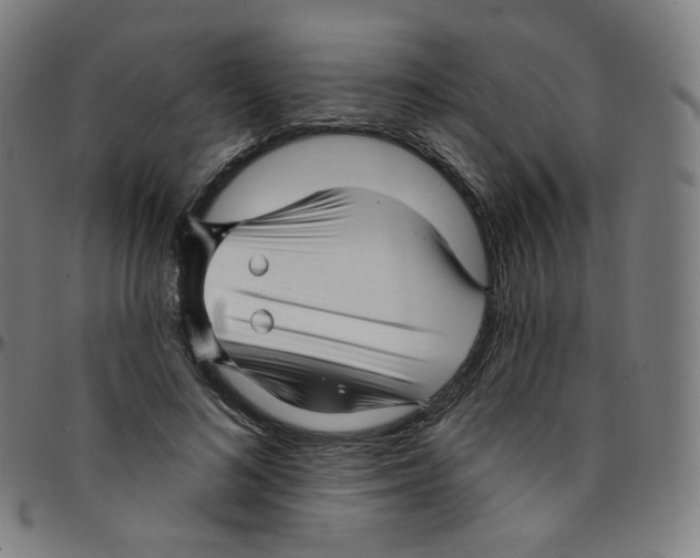 X0000095130692200801041247