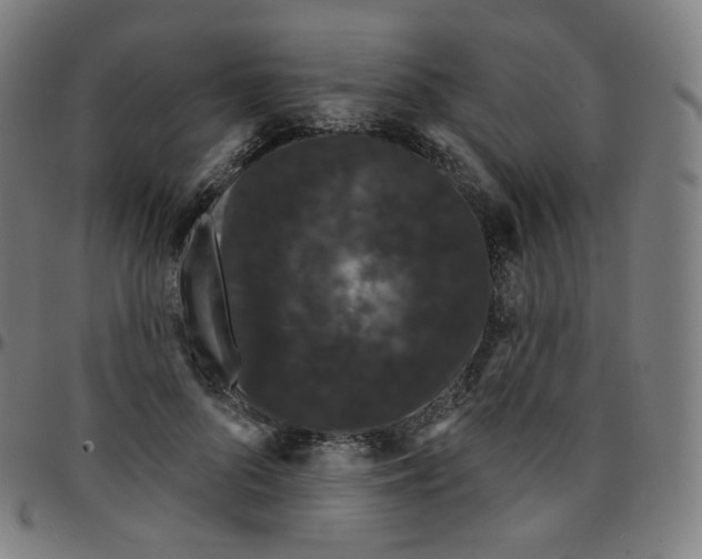 X0000095130696200801041247