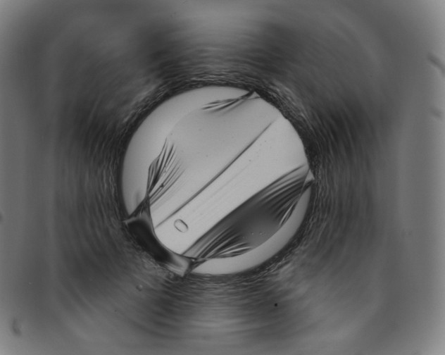 X0000095130697200801041247