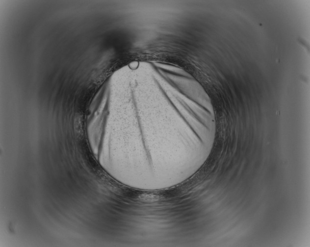 X0000095130699200801041247