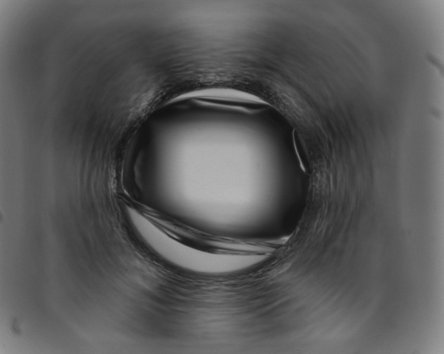 X0000095130700200801041247