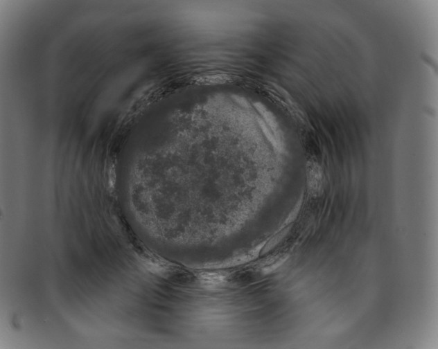 X0000095130701200801041247