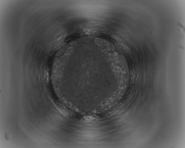 X0000095130703200801041247