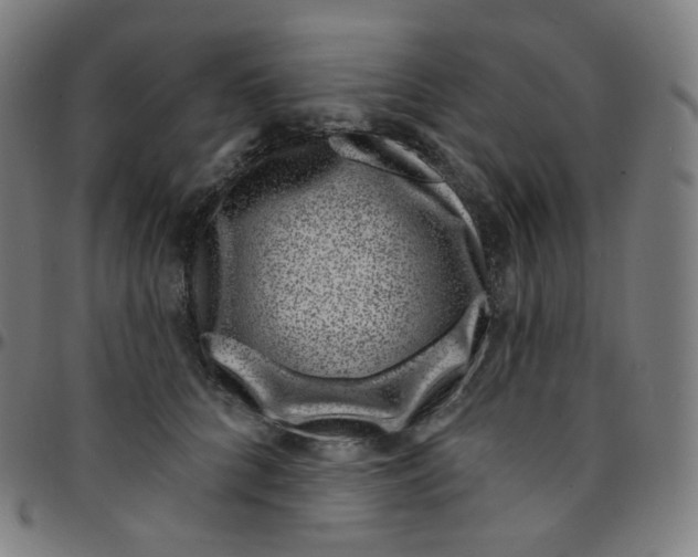 X0000095130704200801041247