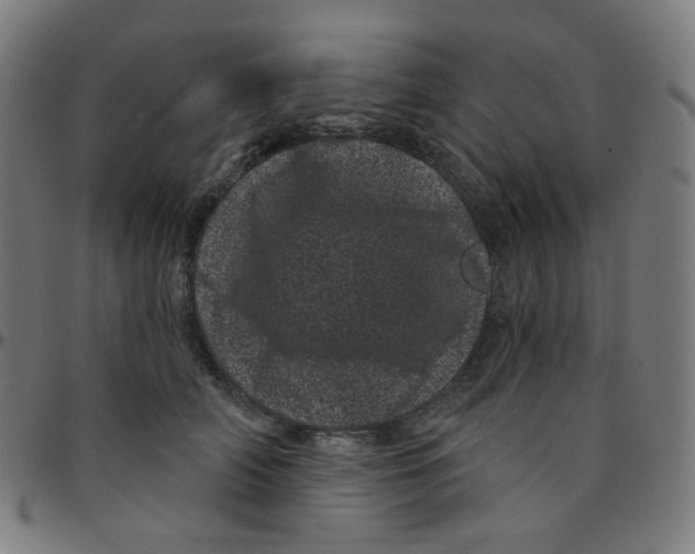 X0000095130706200801041247