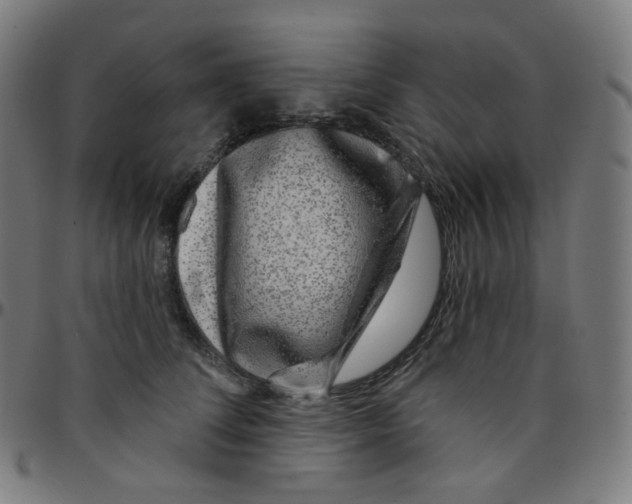 X0000095130708200801041247