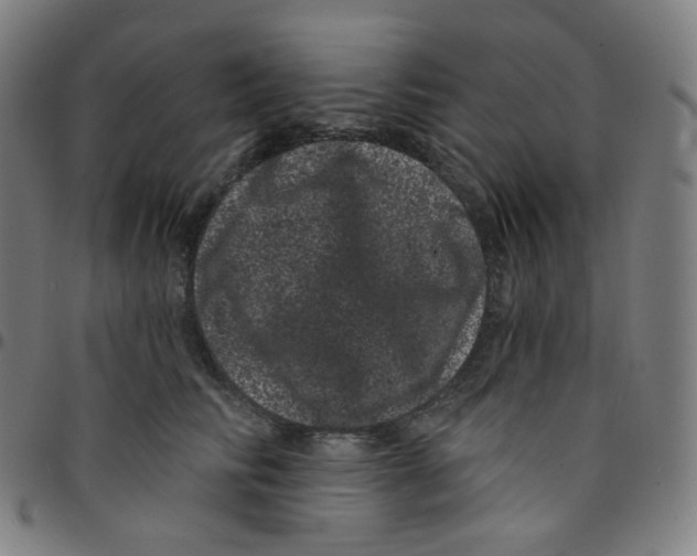 X0000095130710200801041247