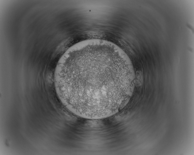 X0000095130713200801041247