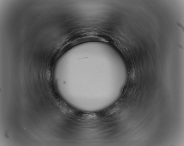 X0000095130715200801041247