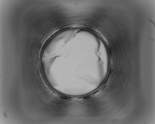 X0000095130721200801041246