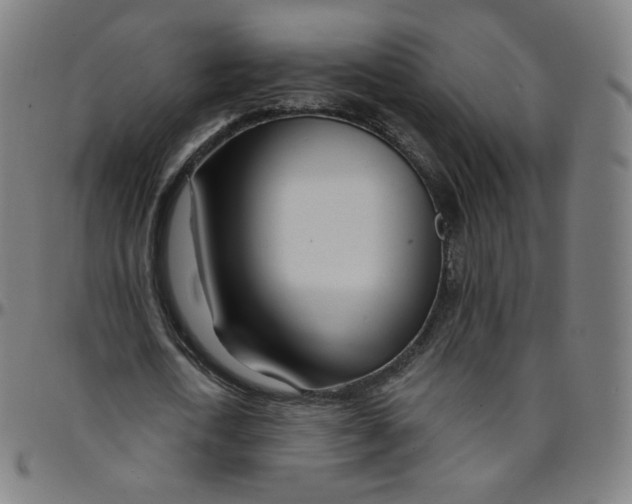 X0000095130722200801041246