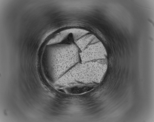 X0000095130724200801041246